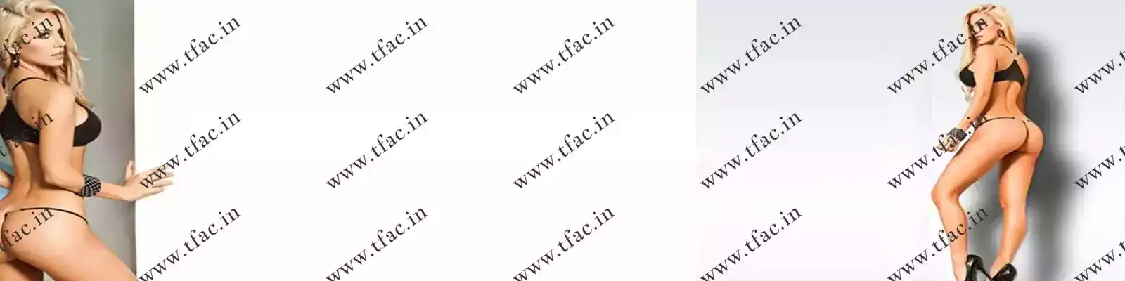Delhi Escort Service